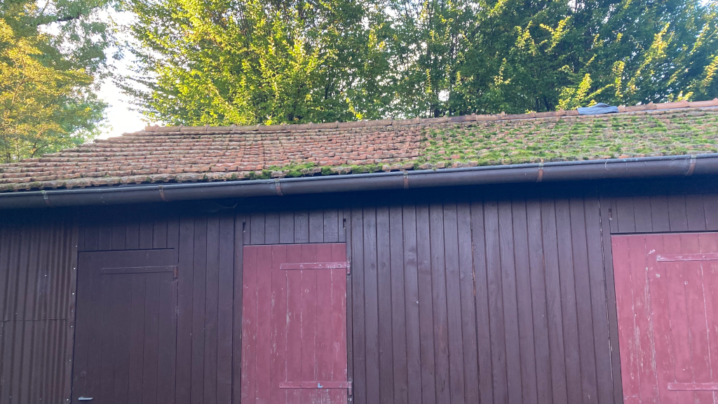 leider nur ein Drittel geschafft leider nur ein Drittel geschafft