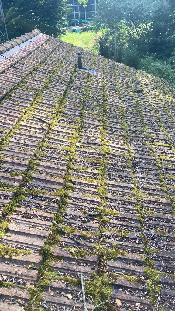 das Dach vorher das Dach vorher