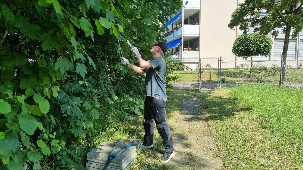 Matthias HB9HWP schneidet die Bäume und Sträucher Matthias HB9HWP schneidet die Bäume und Sträucher